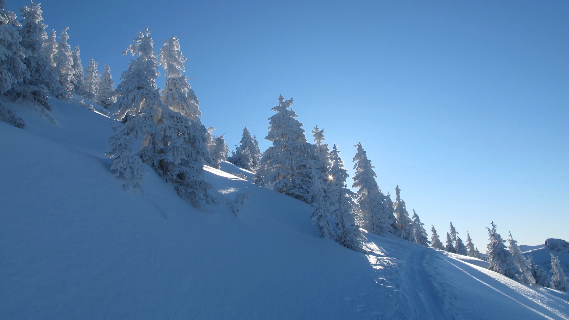 © DAV-Gangkofen - Spitzstein