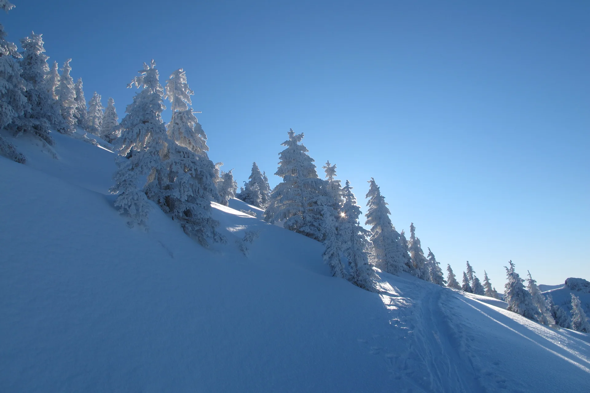 © DAV-Gangkofen - Spitzstein