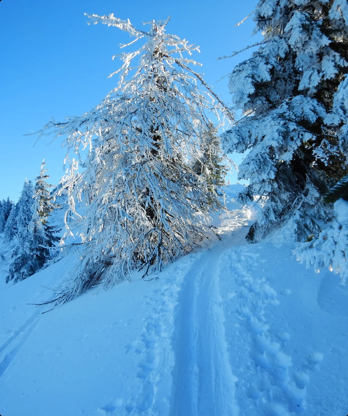 © DAV-Gangkofen Loibersbacher Höhe