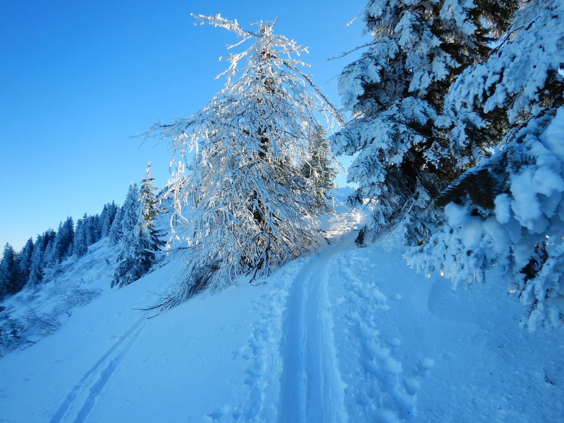 © DAV-Gangkofen Loibersbacher Höhe