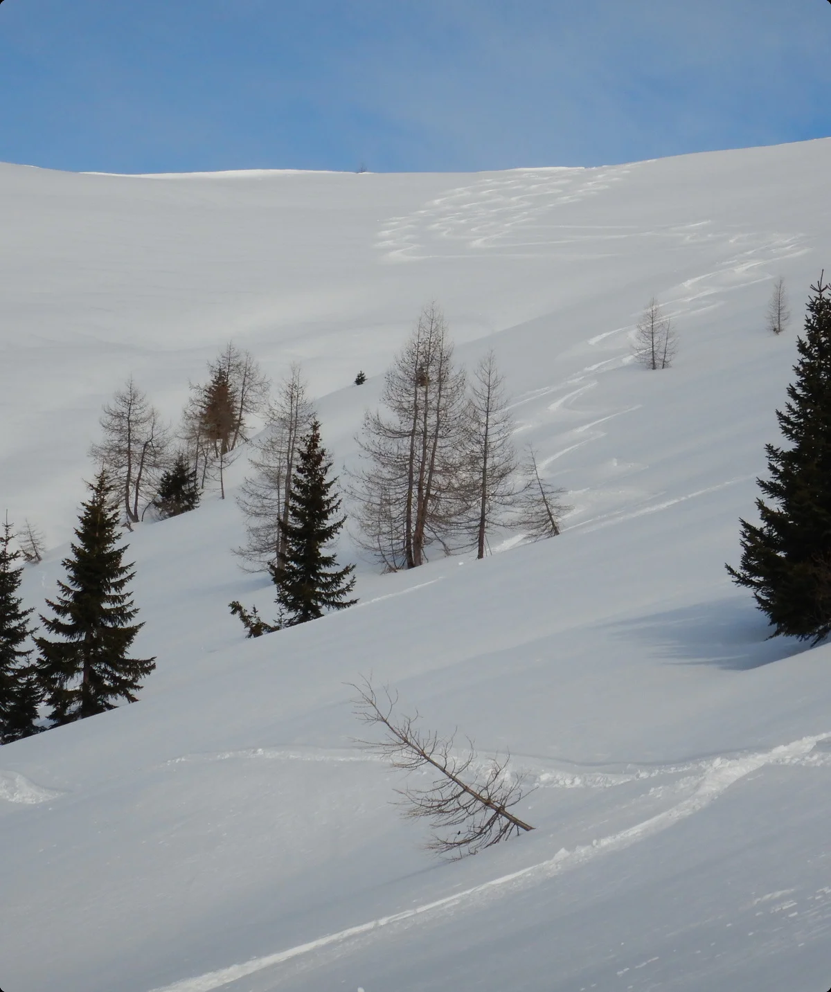 © DAV-Gangkofen - Grossarl-Tal