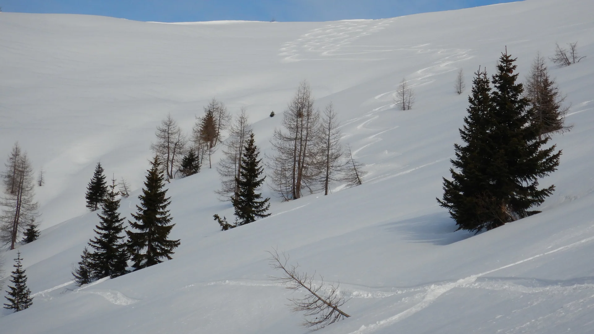 © DAV-Gangkofen - Grossarl-Tal