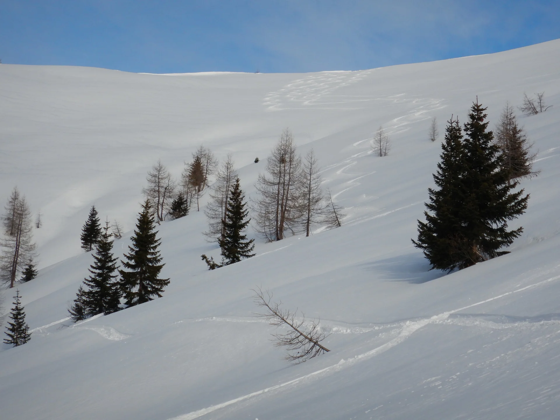 © DAV-Gangkofen - Grossarl-Tal