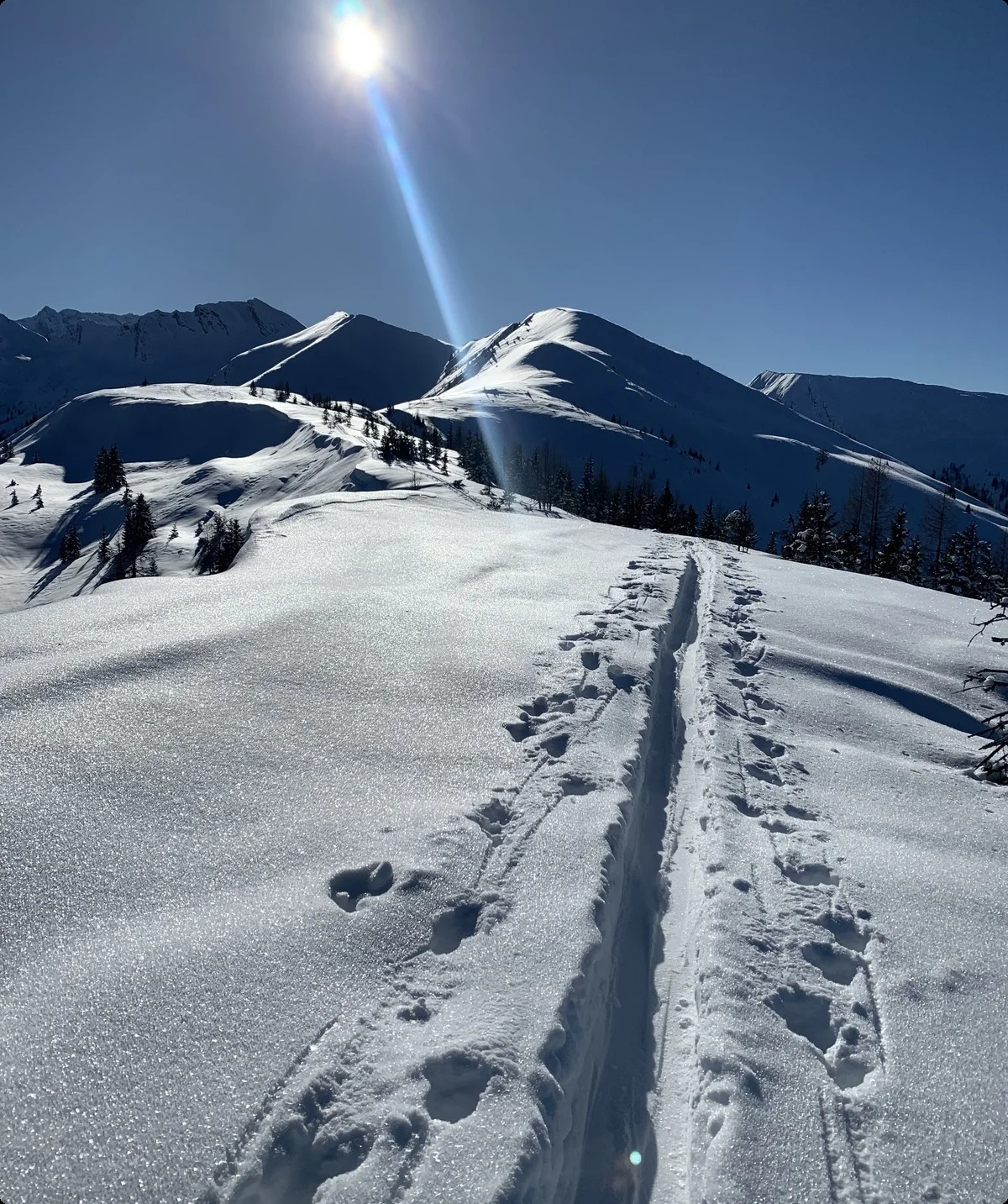 © DAV-Gangkofen - Grossarl-Tal