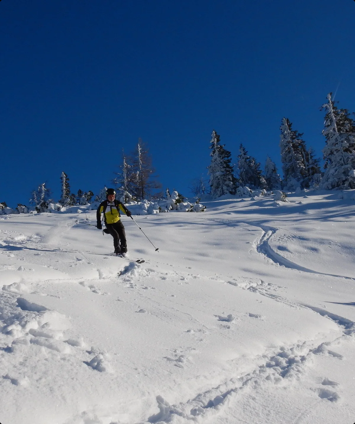 © DAV Gangkofen -Rauschberg