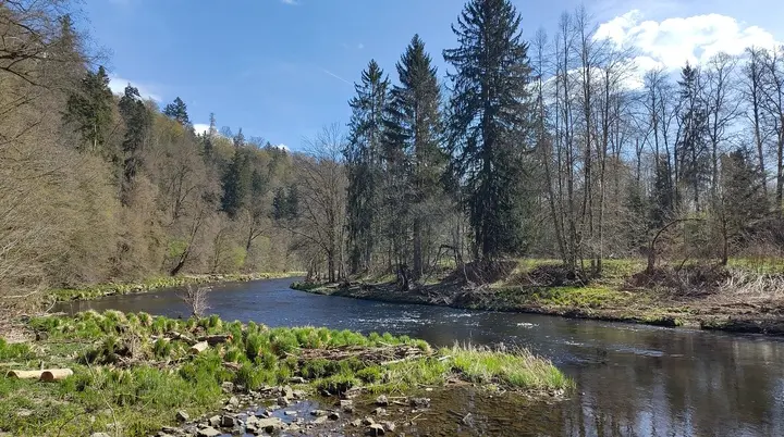 Blick auf die Ilz | © DAV Gangkofen