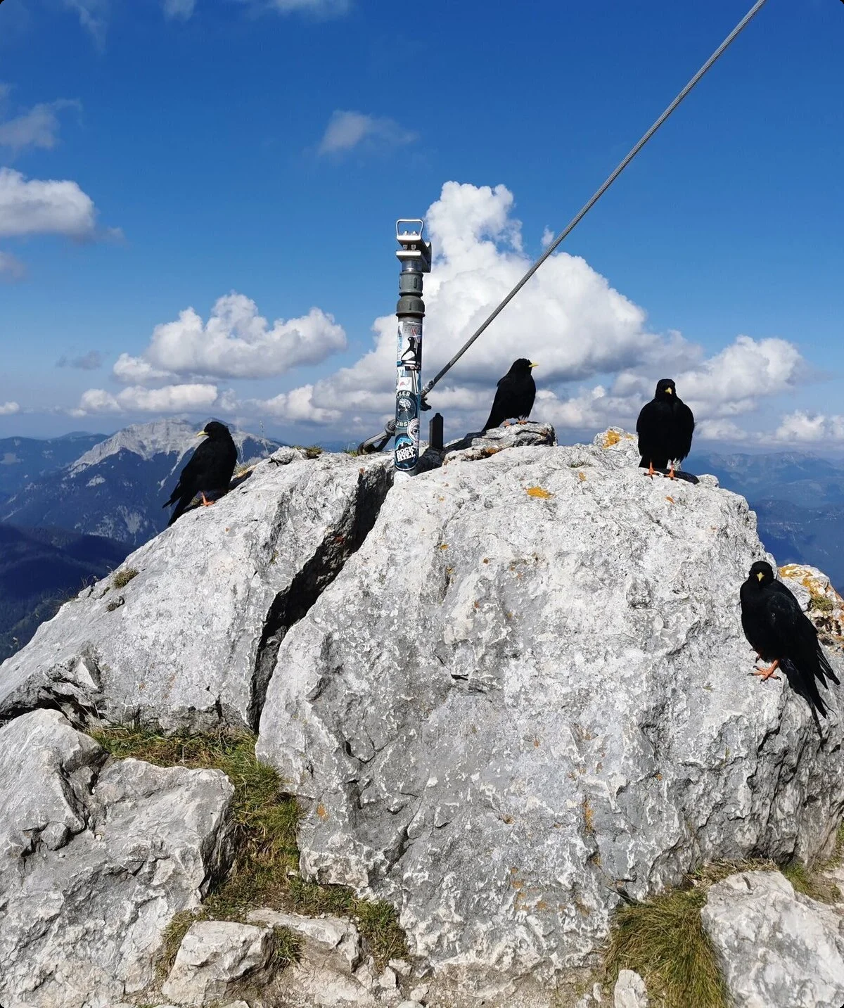 KS | © DAV Gangkofen\Martin Götz - Klettersteig 5-Gipfel im Rofangebirge Vögel am Hochiss