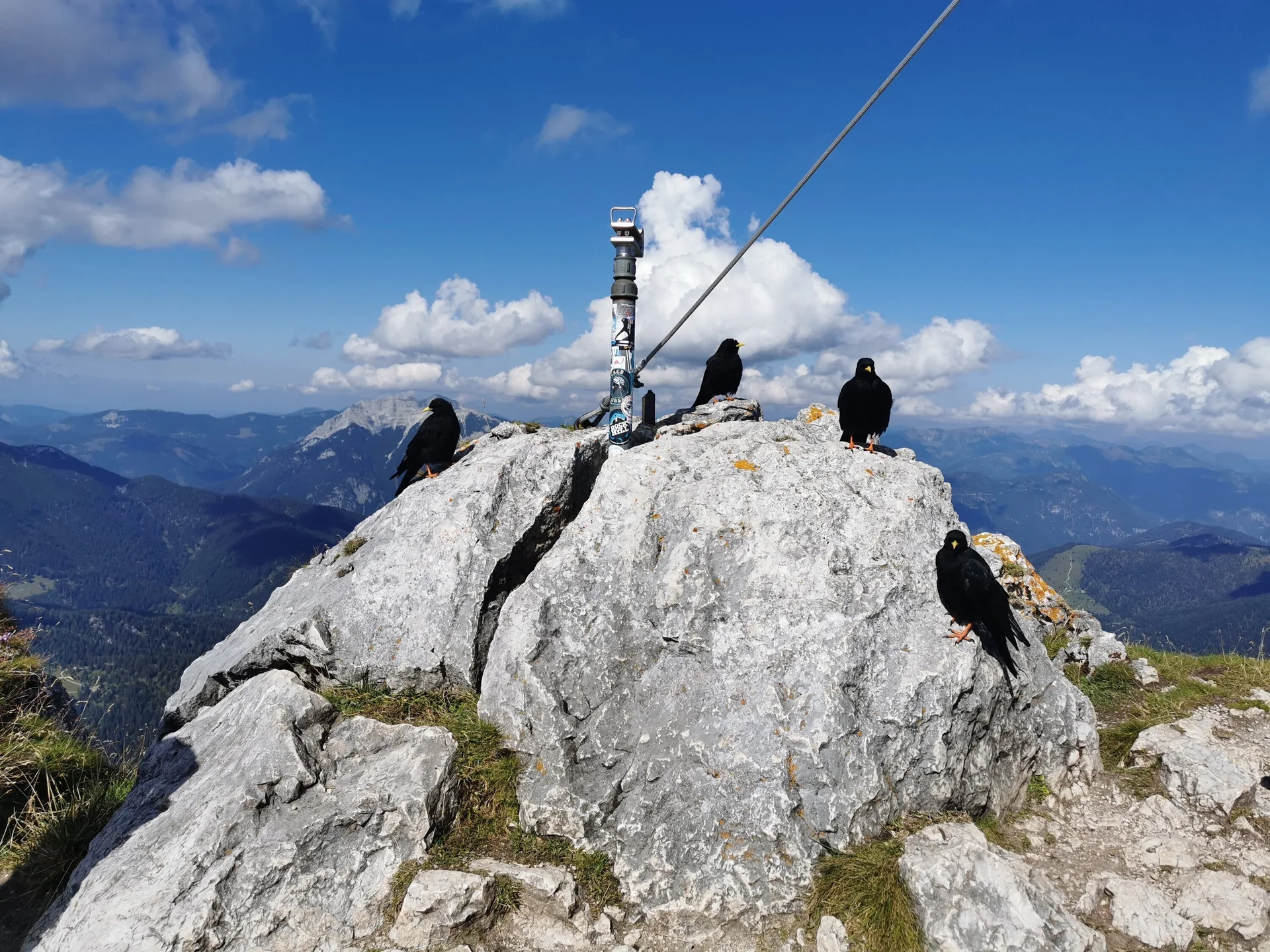 KS | © DAV Gangkofen\Martin Götz - Klettersteig 5-Gipfel im Rofangebirge Vögel am Hochiss