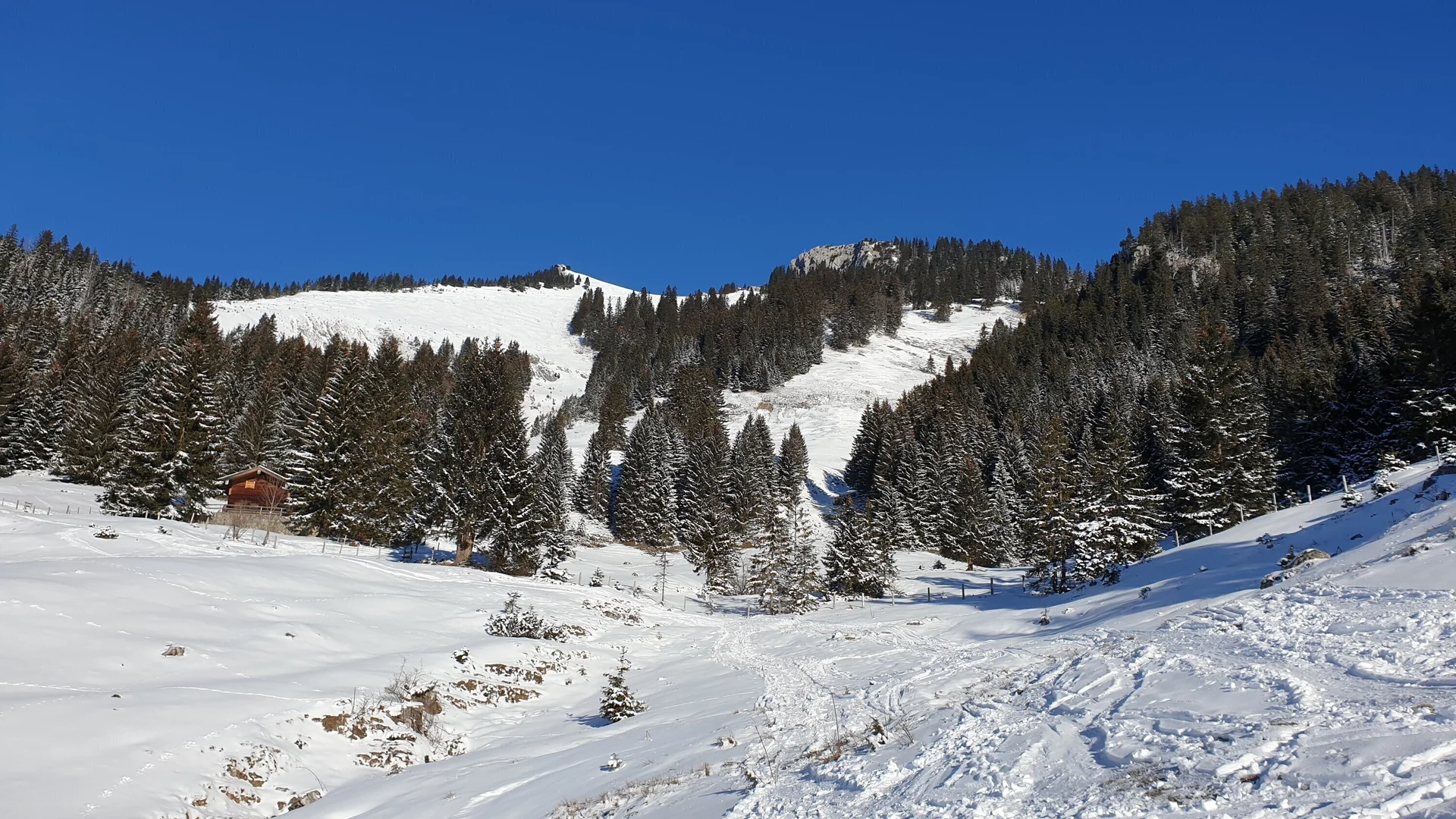 SSW  | © DAV Gangkofen\Martin Götz - Wildalpjoch