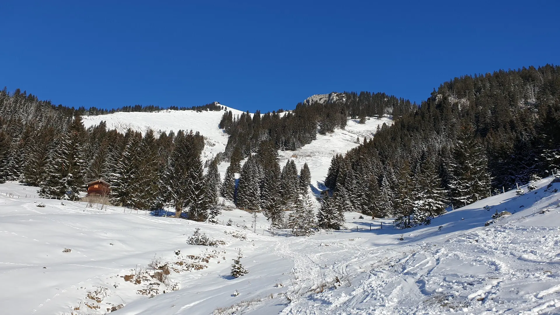 SSW  | © DAV Gangkofen\Martin Götz - Wildalpjoch