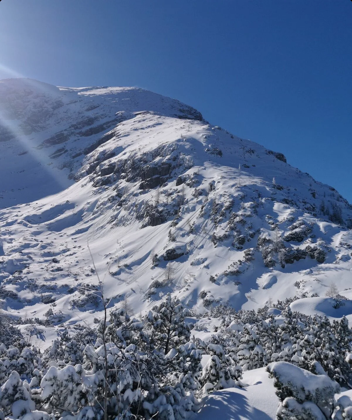 SSW | © DAV Gangkofen\Martin Götz - Blick auf Hocheck von Watzmanngugl aus