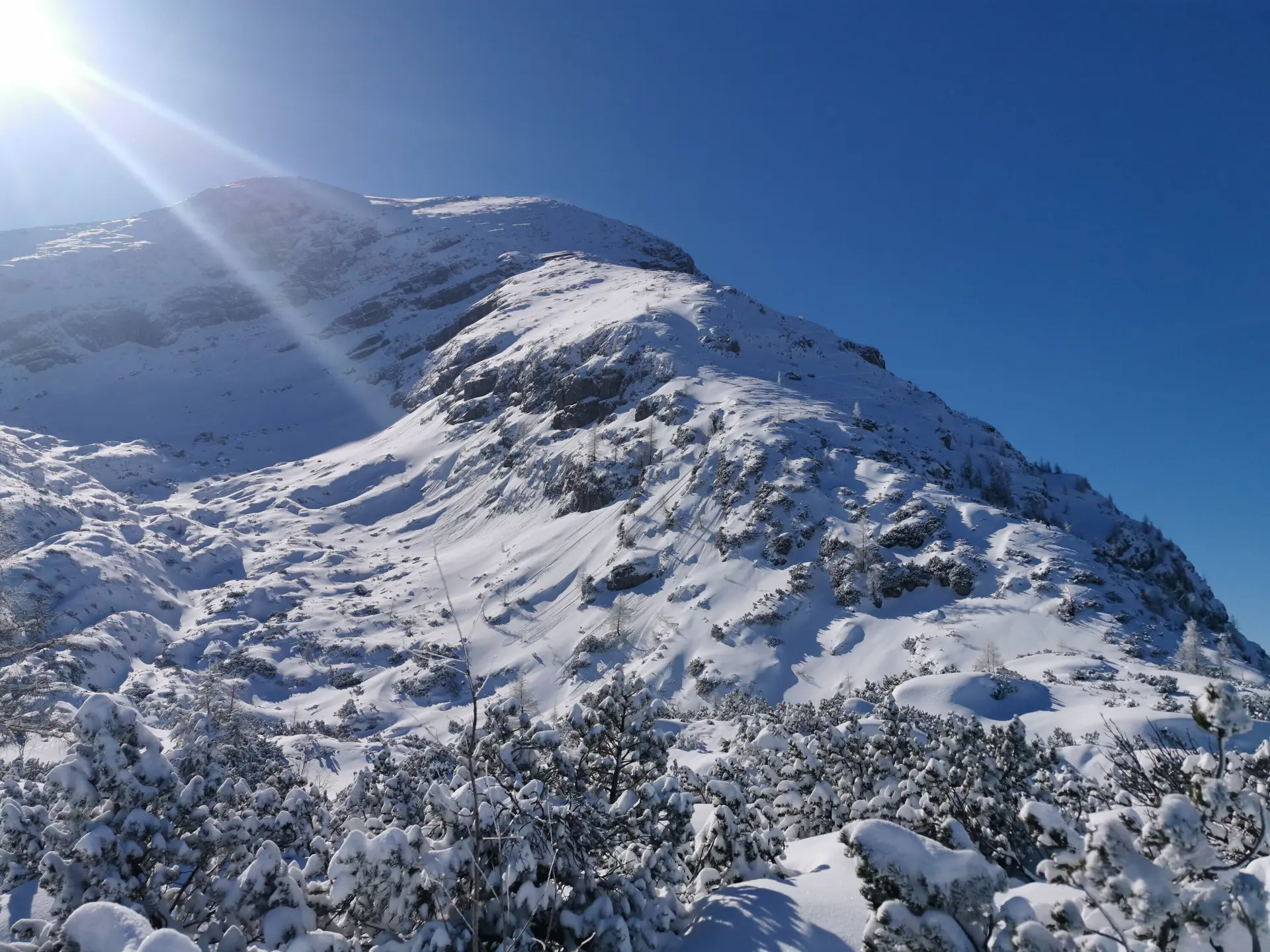 SSW | © DAV Gangkofen\Martin Götz - Blick auf Hocheck von Watzmanngugl aus