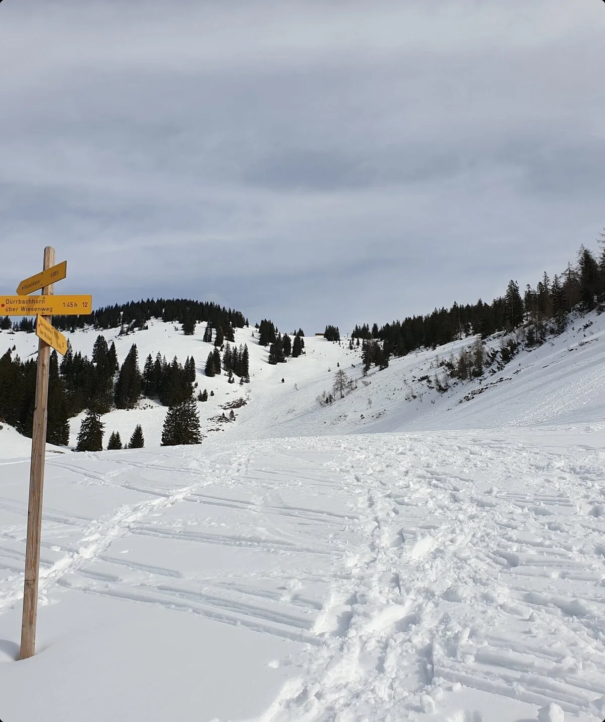 SSW | © DAV Gangkofen\Martin Götz - Dürrnbachhorn - im Aufstieg von Kohlstatt aus