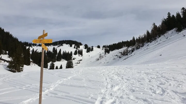 SSW | © DAV Gangkofen\Martin Götz - Dürrnbachhorn - im Aufstieg von Kohlstatt aus