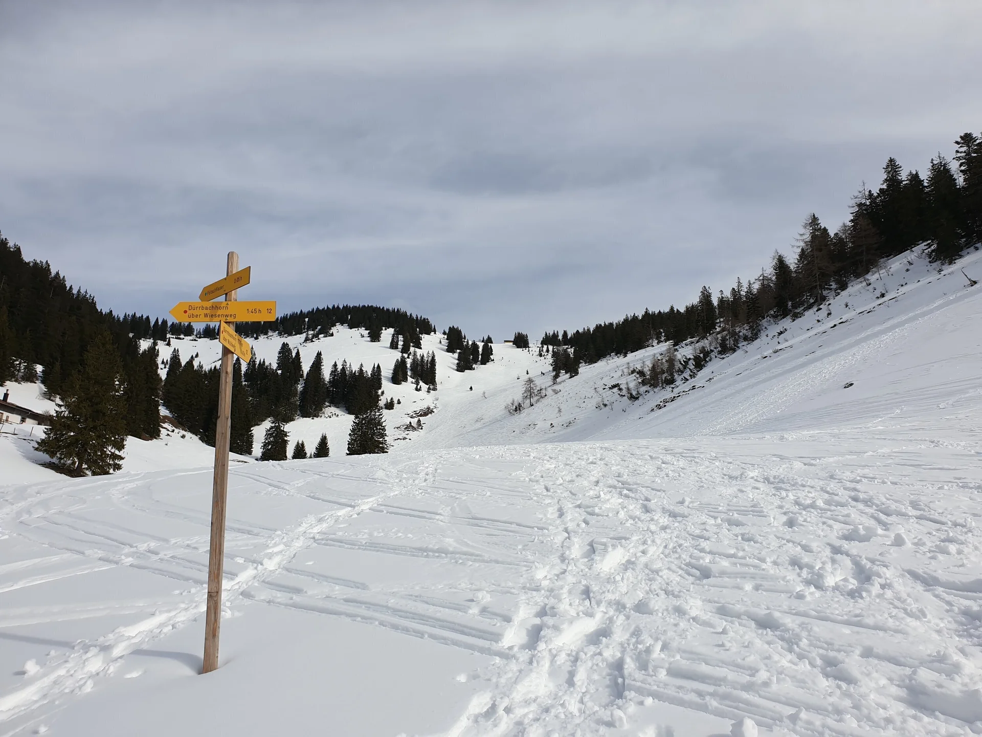 SSW | © DAV Gangkofen\Martin Götz - Dürrnbachhorn - im Aufstieg von Kohlstatt aus