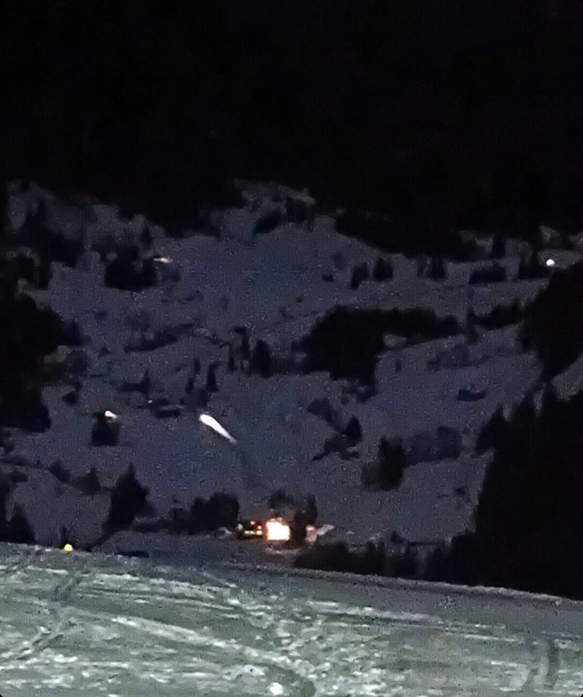 © DAV-Gangkofen - Wildalm