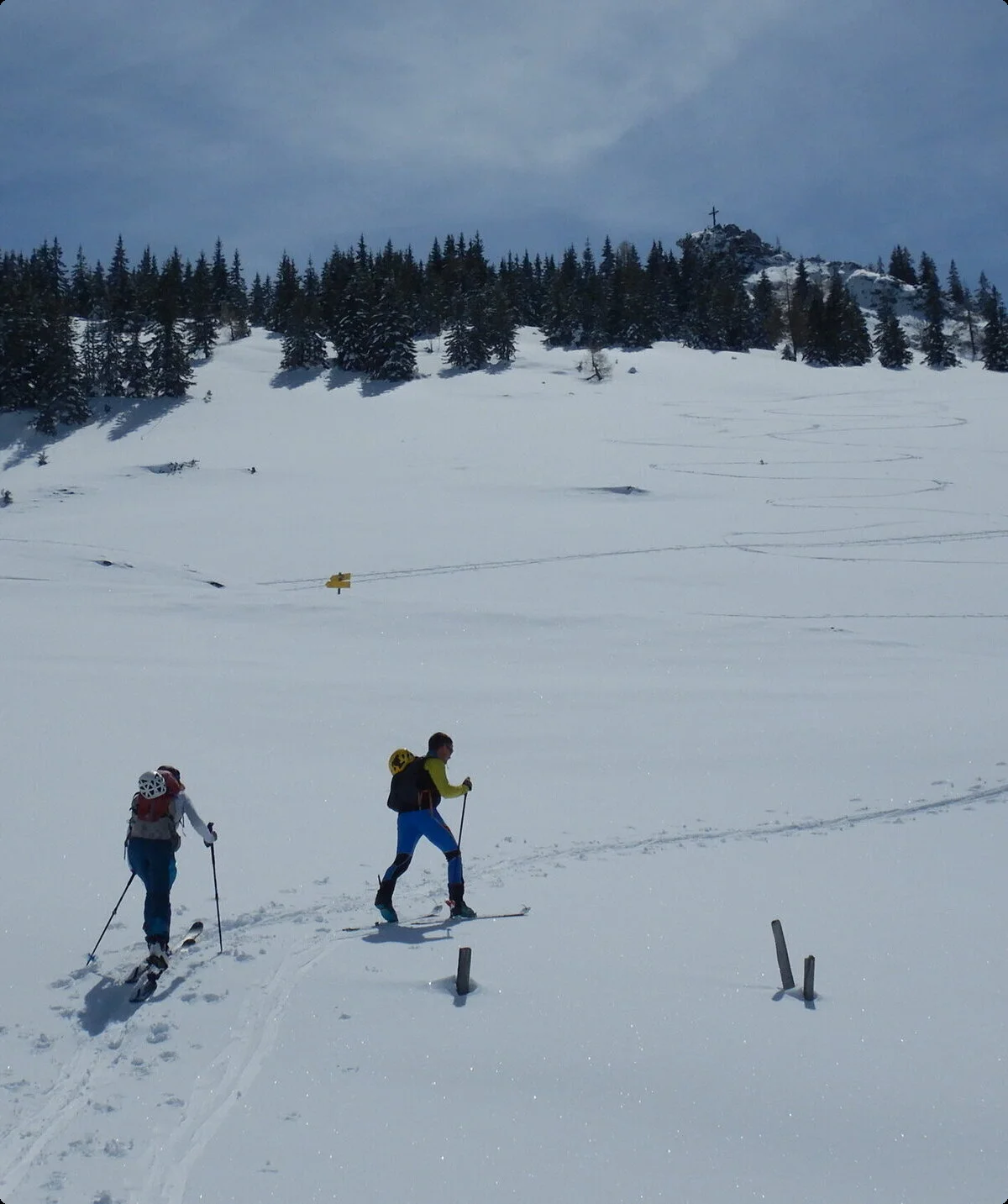 © DAV-Gangkofen - Aufstieg Peitingköpfl