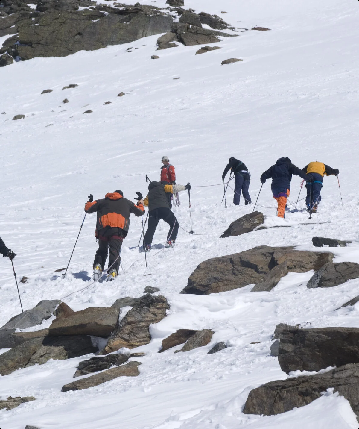© DAV Gangkofen - Aufstieg zum Piz Buin