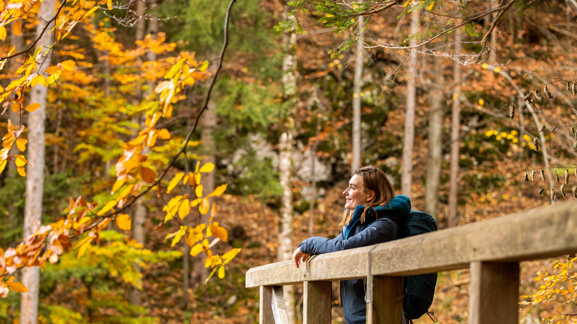 Wandern im Herbst: Eine Frau genießt die herbstliche Stimmung in den Bergen. Das Laub ist bereits bunt verfärbt | © DAV / Franz Günther