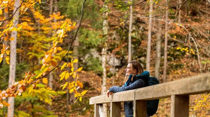 Wandern im Herbst: Eine Frau genießt die herbstliche Stimmung in den Bergen. Das Laub ist bereits bunt verfärbt | © DAV / Franz Günther